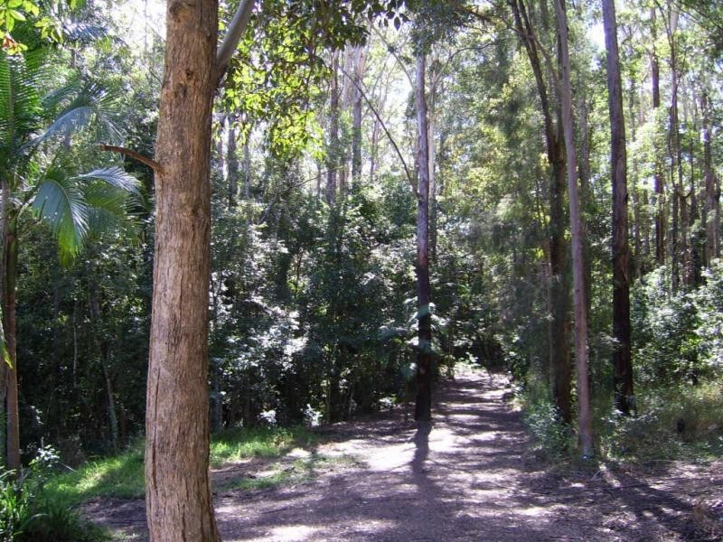 90 Mapleton Forest Road, Mapleton QLD 4560