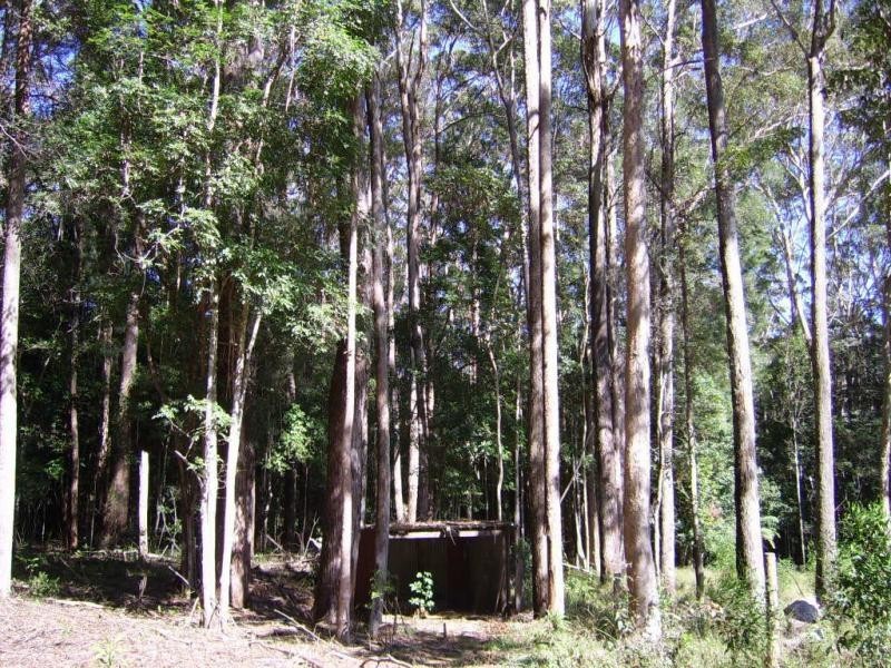 90 Mapleton Forest Road, Mapleton QLD 4560