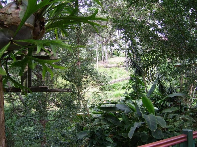 3/373 Obi Obi Road, Mapleton QLD 4560