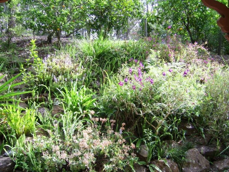 3/373 Obi Obi Road, Mapleton QLD 4560