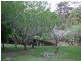338 Delicia Road, Mapleton QLD 4560