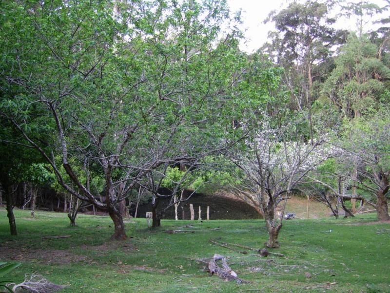 338 Delicia Road, Mapleton QLD 4560