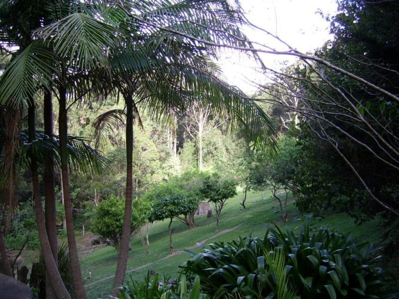 338 Delicia Road, Mapleton QLD 4560
