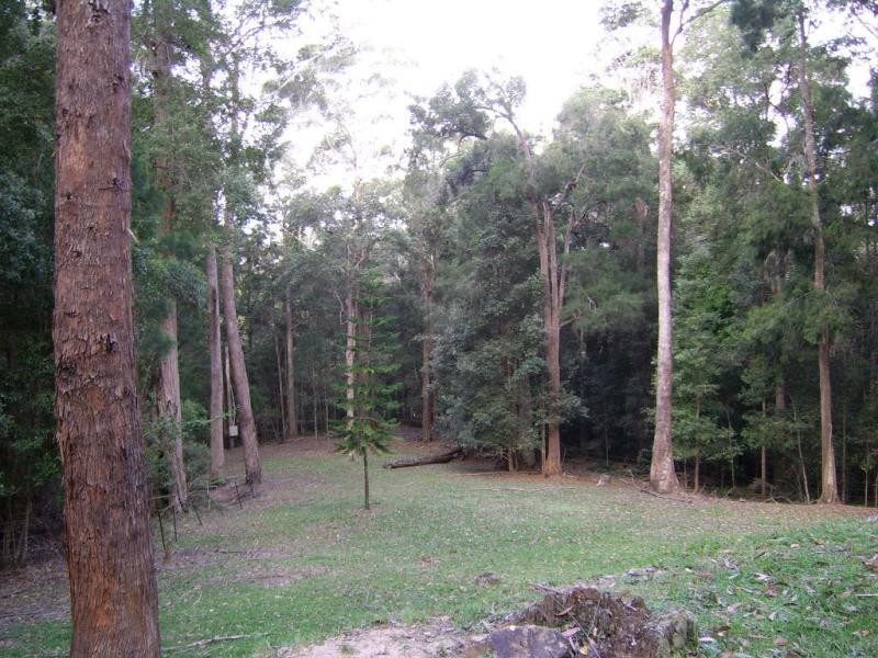 338 Delicia Road, Mapleton QLD 4560
