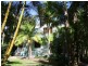 338 Delicia Road, Mapleton QLD 4560