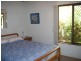 25 Nimbus Drive, Flaxton QLD 4560