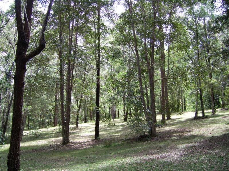 39 Cutmore Road West, Obi Obi QLD 4574