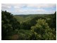 40 Carramar Court, Flaxton QLD 4560