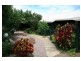 40 Carramar Court, Flaxton QLD 4560