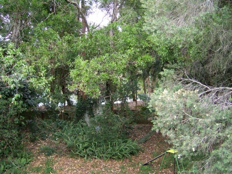 15 Karri Court, Mapleton QLD 4560