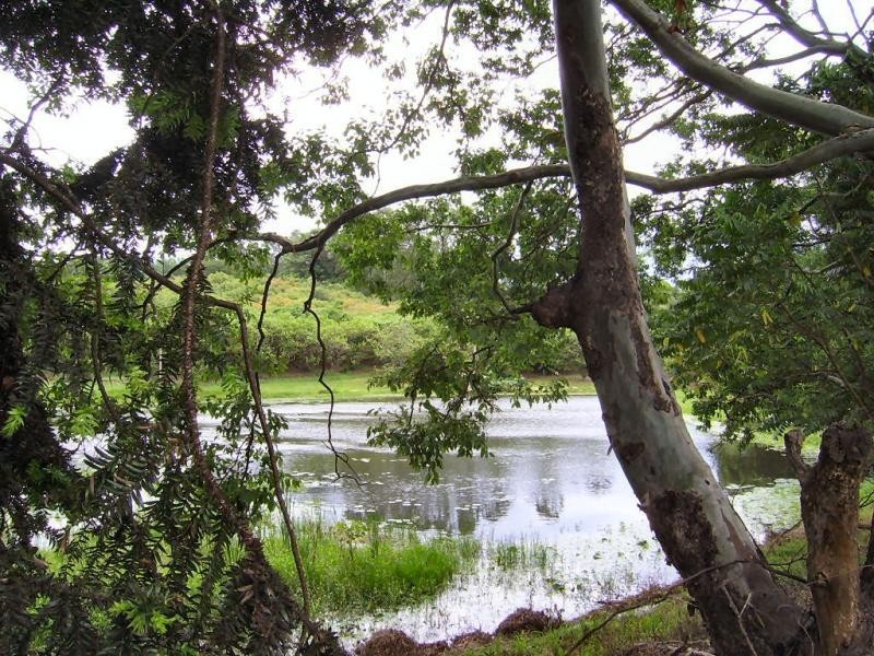 410 Flaxton Drive, Flaxton QLD 4560