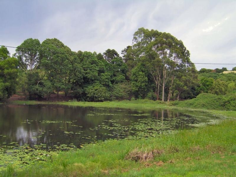 410 Flaxton Drive, Flaxton QLD 4560