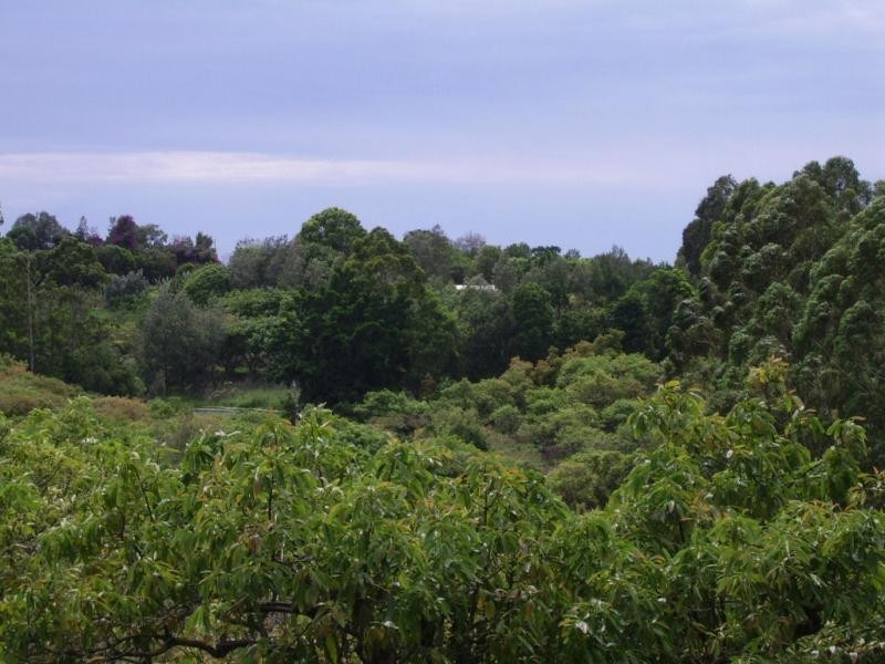 410 Flaxton Drive, Flaxton QLD 4560