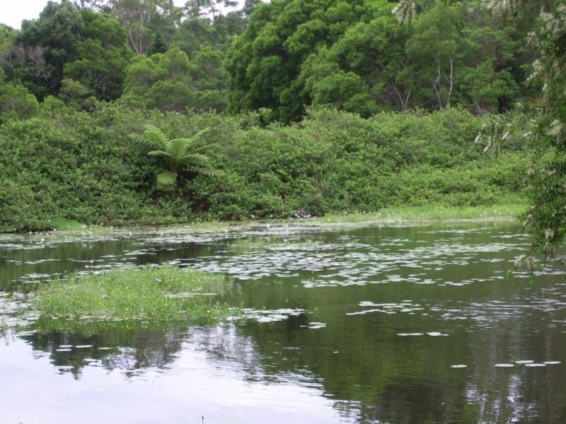 410 Flaxton Drive, Flaxton QLD 4560