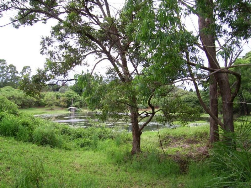 410 Flaxton Drive, Flaxton QLD 4560