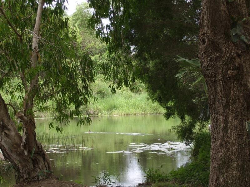 410 Flaxton Drive, Flaxton QLD 4560