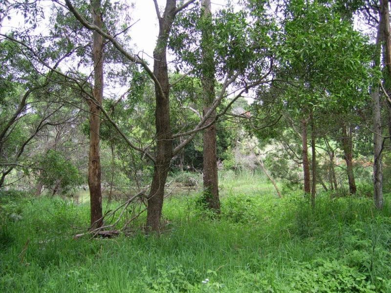 410 Flaxton Drive, Flaxton QLD 4560