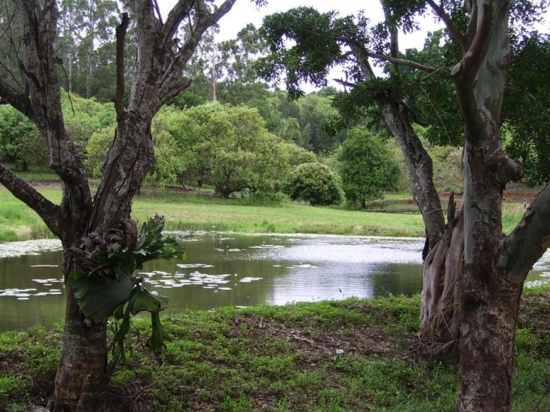 410 Flaxton Drive, Flaxton QLD 4560