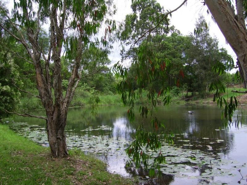 410 Flaxton Drive, Flaxton QLD 4560