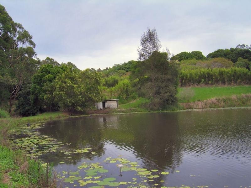 410 Flaxton Drive, Flaxton QLD 4560