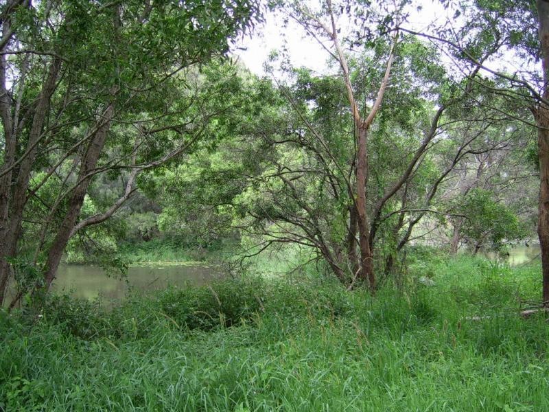 410 Flaxton Drive, Flaxton QLD 4560