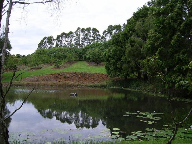 410 Flaxton Drive, Flaxton QLD 4560