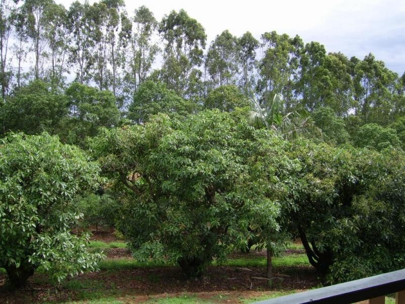 410 Flaxton Drive, Flaxton QLD 4560