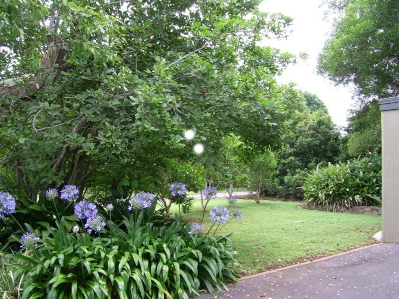 38 Post Office Road, Mapleton QLD 4560