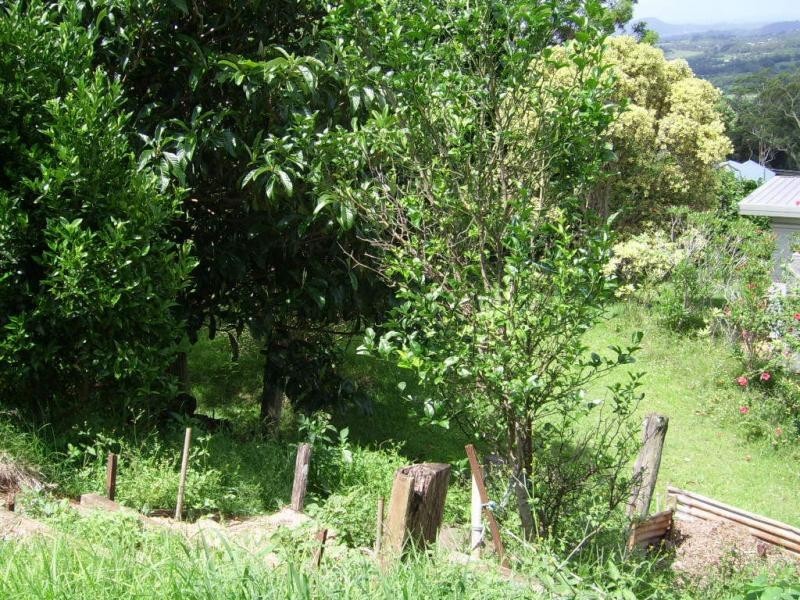 31 Flaxton Drive, Mapleton QLD 4560