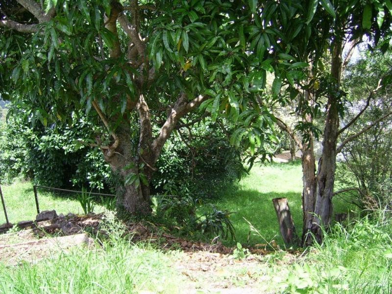 31 Flaxton Drive, Mapleton QLD 4560