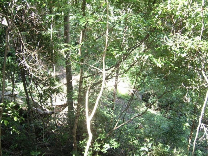 97 Akala Street, Flaxton QLD 4560