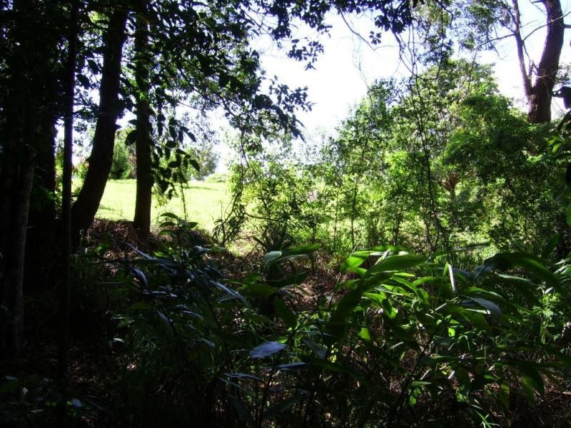 97 Akala Street, Flaxton QLD 4560