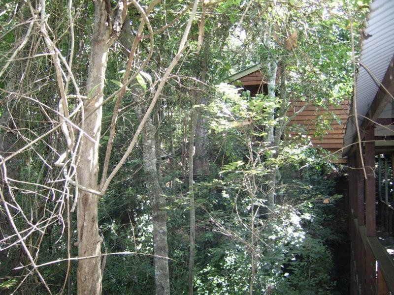 97 Akala Street, Flaxton QLD 4560