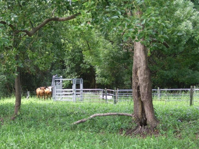 2 Willandra Place, Kureelpa QLD 4560