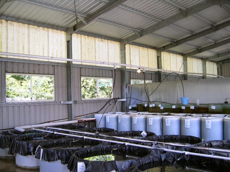 2 Willandra Place, Kureelpa QLD 4560