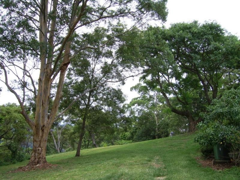 256 Obi Obi Road, Mapleton QLD 4560