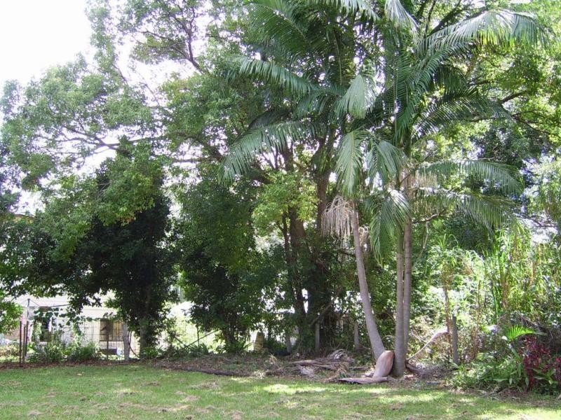 57 Obi Obi Road, Mapleton QLD 4560