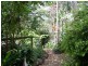Mapleton QLD 4560