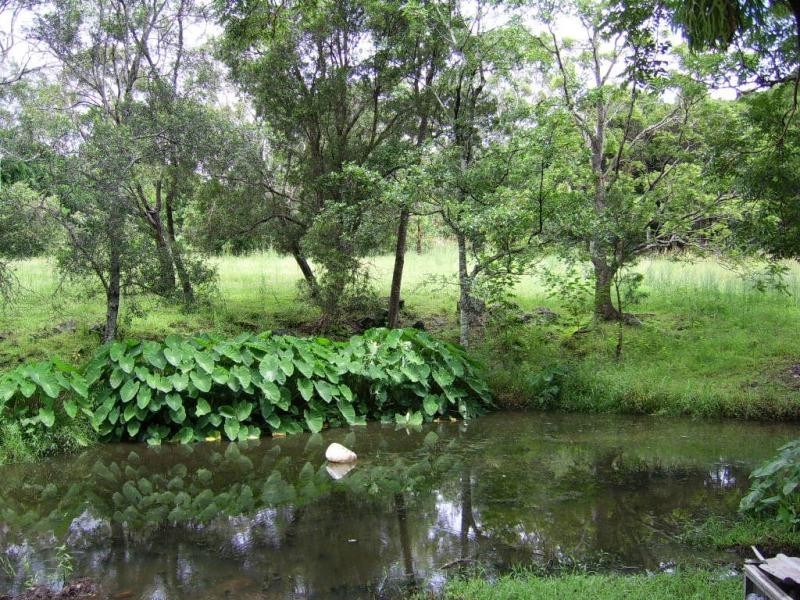 2 Woodland Avenue, Dulong QLD 4560