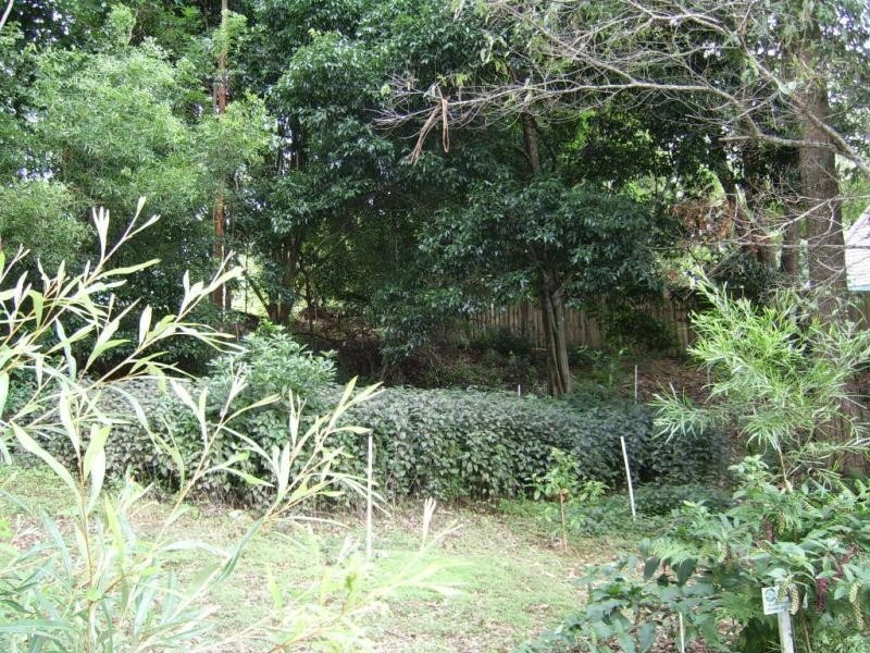 28 Billabong Place, Mapleton QLD 4560