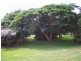 3 Rainbow Park Drive, Mapleton QLD 4560