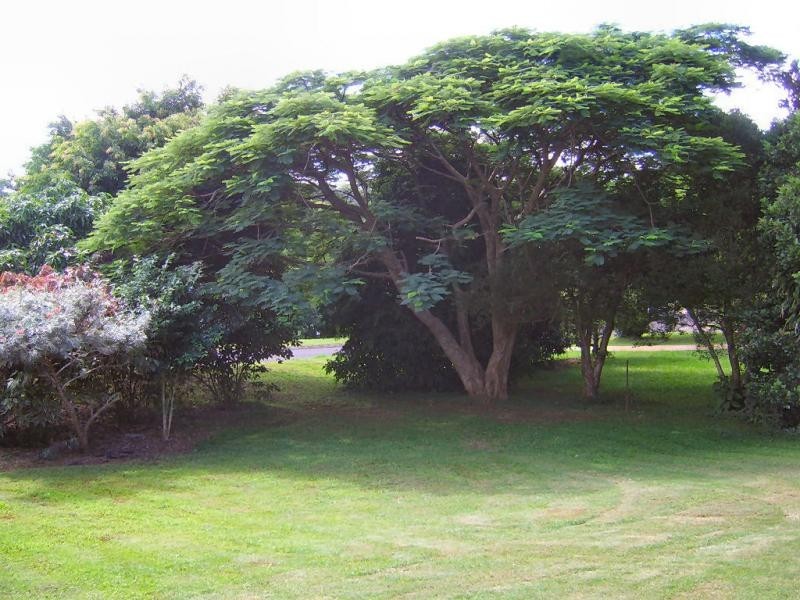 3 Rainbow Park Drive, Mapleton QLD 4560