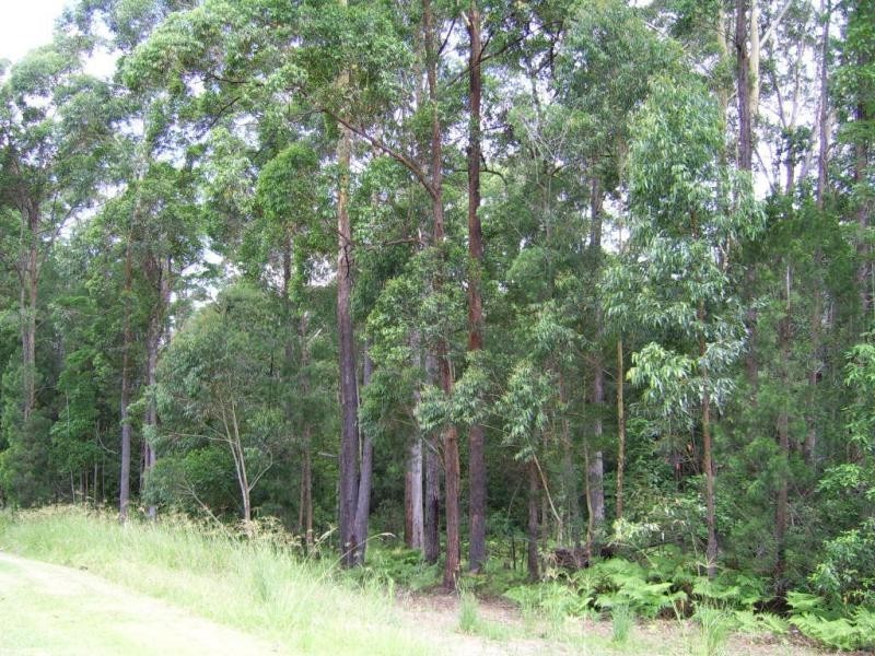 Lot 24 The Parkway Place, Mapleton QLD 4560