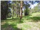 Mapleton QLD 4560