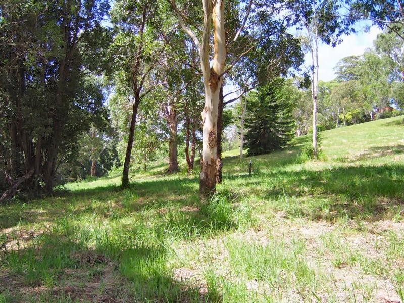 Mapleton QLD 4560