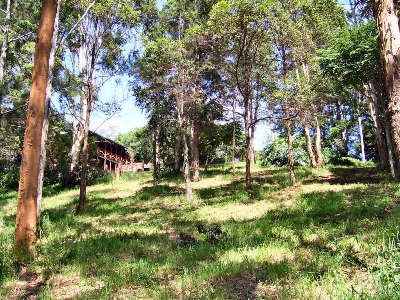 Mapleton QLD 4560