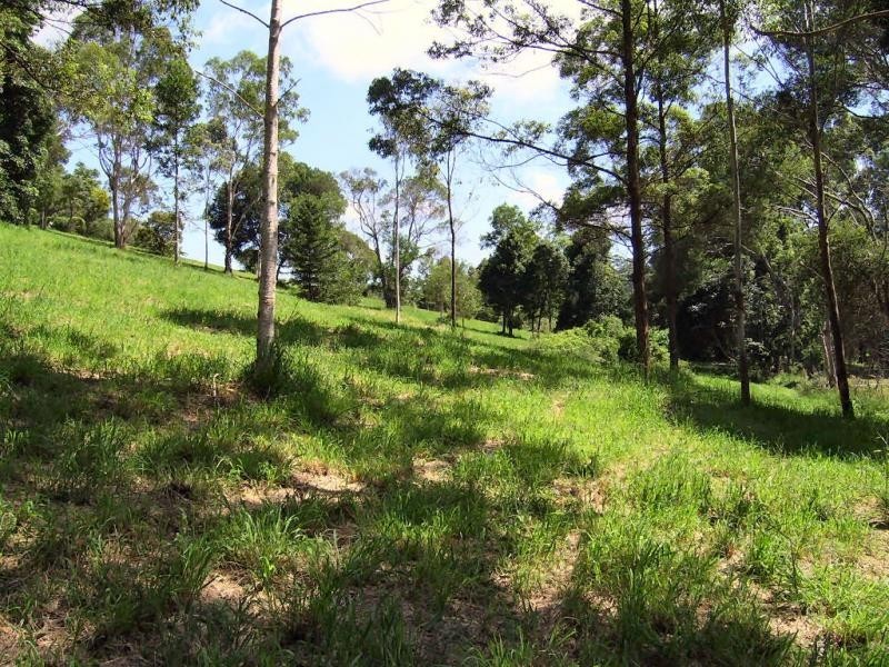 Mapleton QLD 4560