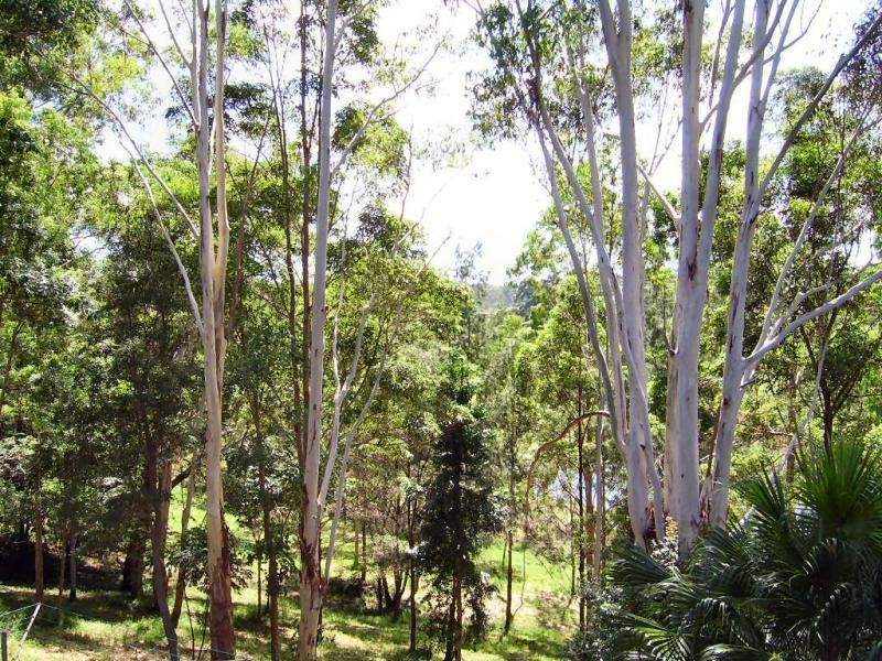 Mapleton QLD 4560