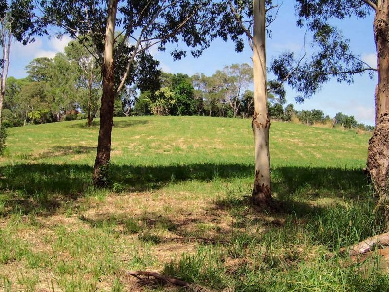 Mapleton QLD 4560