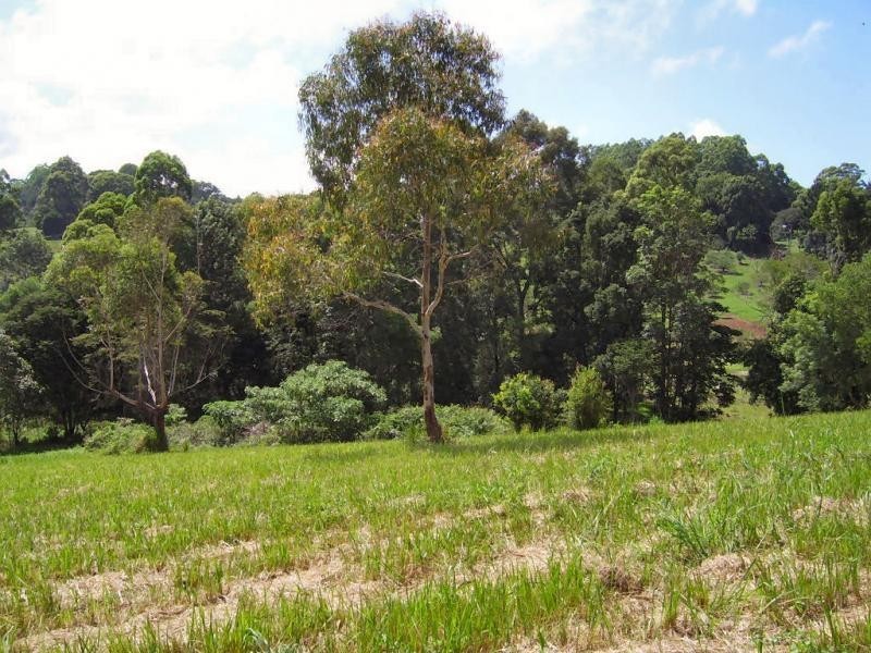 Mapleton QLD 4560